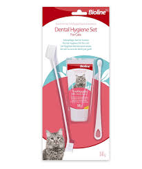 Set Dental Gato
